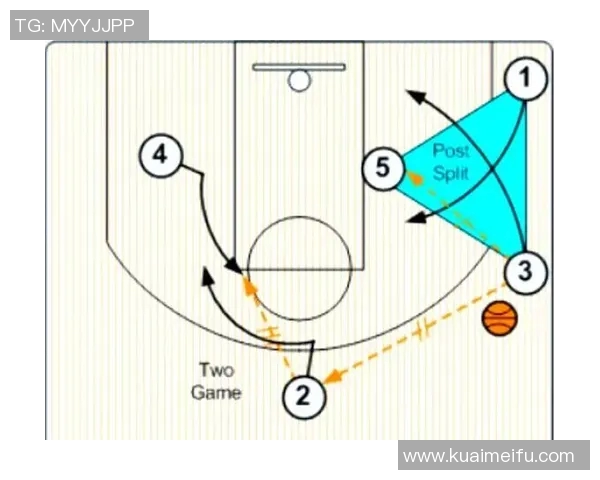 广州排球队的战术演变与球员转换深度解析